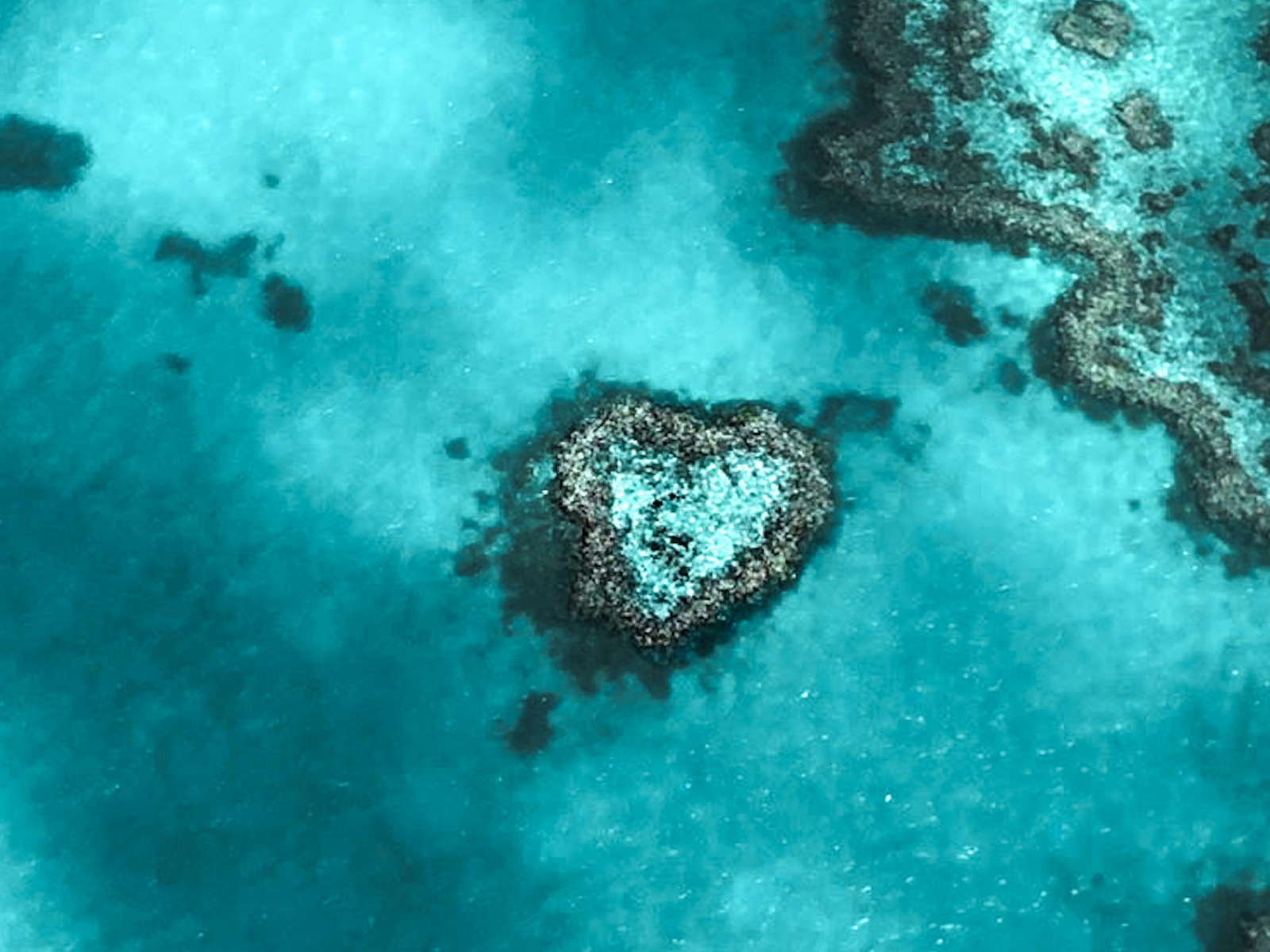 Why LuxeFloat Inflatable Swim Platforms Are the Ultimate Choice