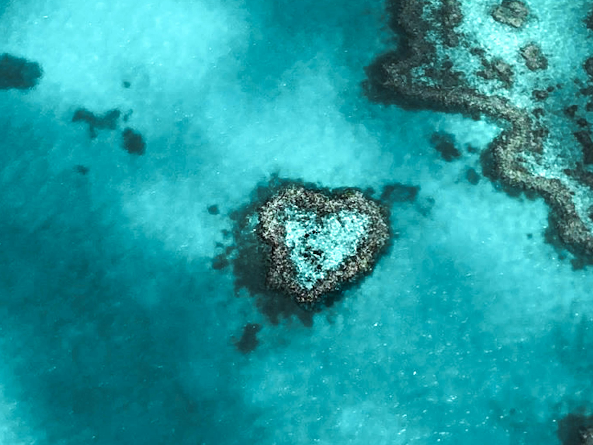 Why LuxeFloat Inflatable Swim Platforms Are the Ultimate Choice